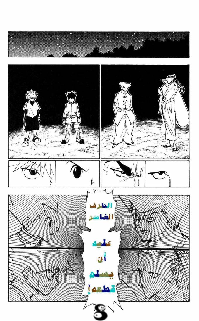 Hunter x Hunter: Chapter 210 - Page 8