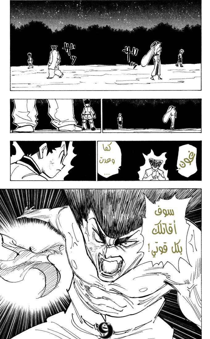 Hunter x Hunter: Chapter 210 - Page 9