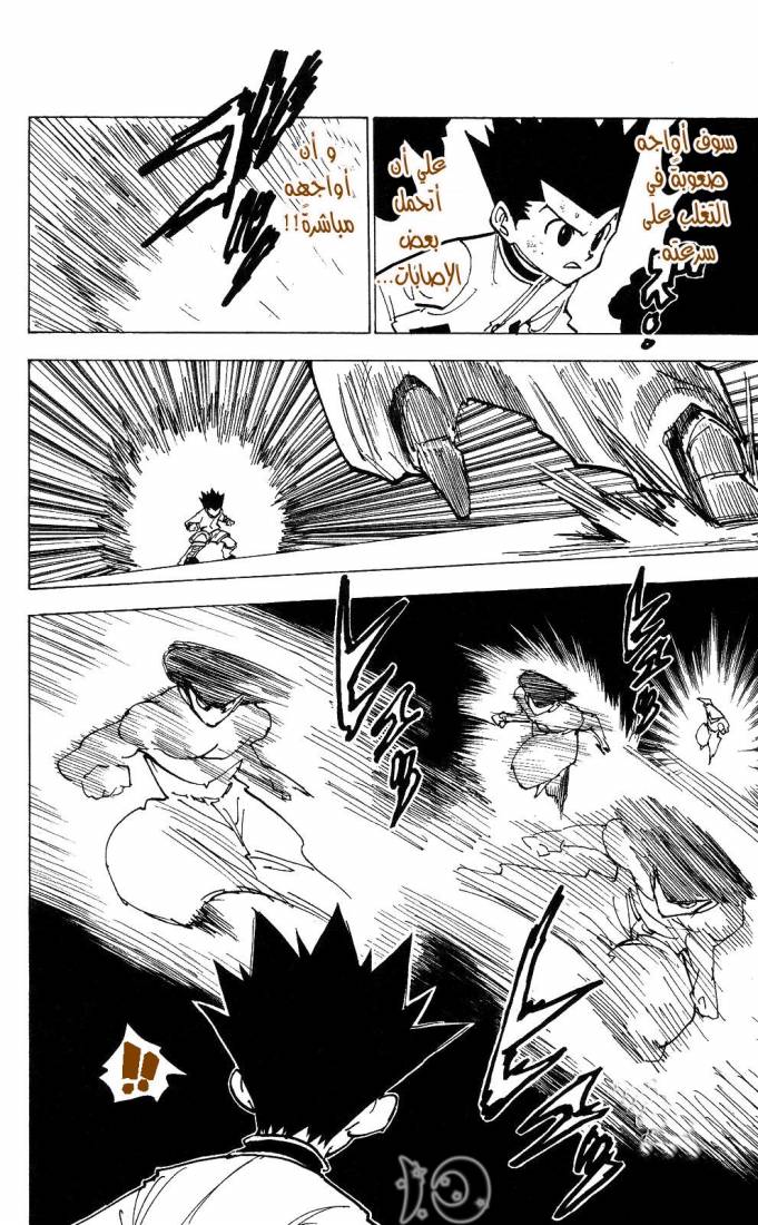 Hunter x Hunter: Chapter 210 - Page 10