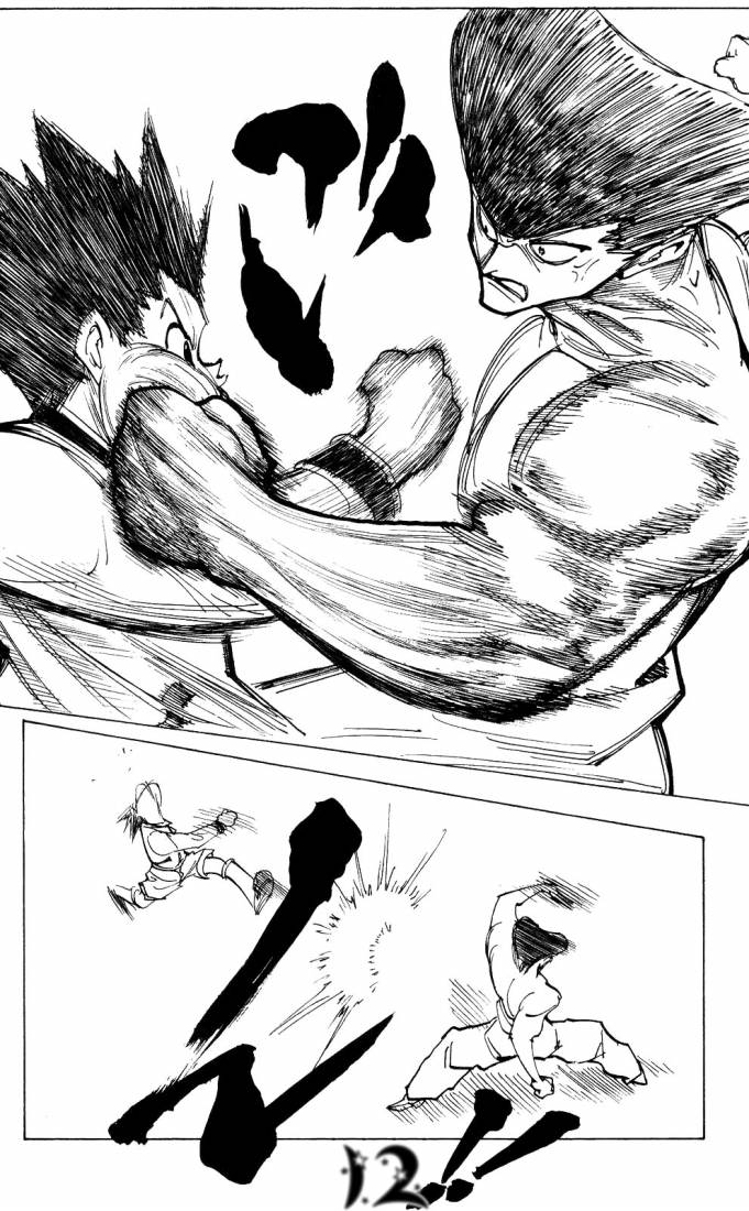 Hunter x Hunter: Chapter 210 - Page 12