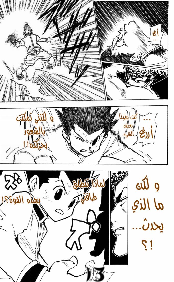 Hunter x Hunter: Chapter 210 - Page 13