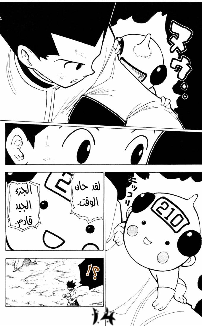 Hunter x Hunter: Chapter 210 - Page 14