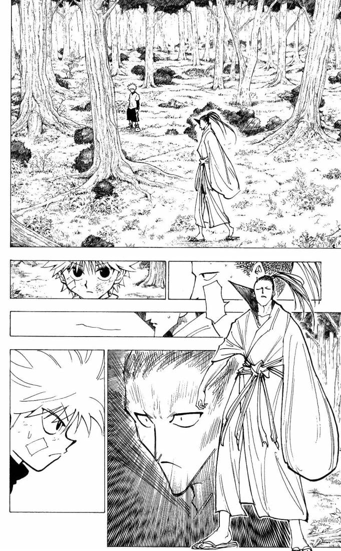 Hunter x Hunter: Chapter 211 - Page 14