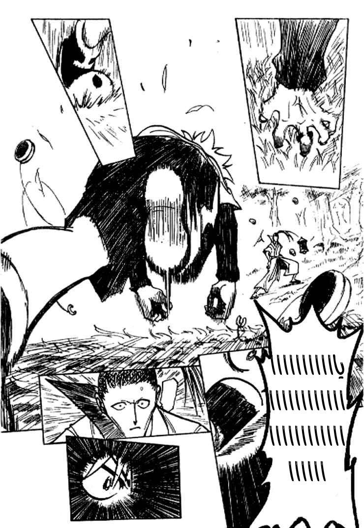 Hunter x Hunter: Chapter 212 - Page 12