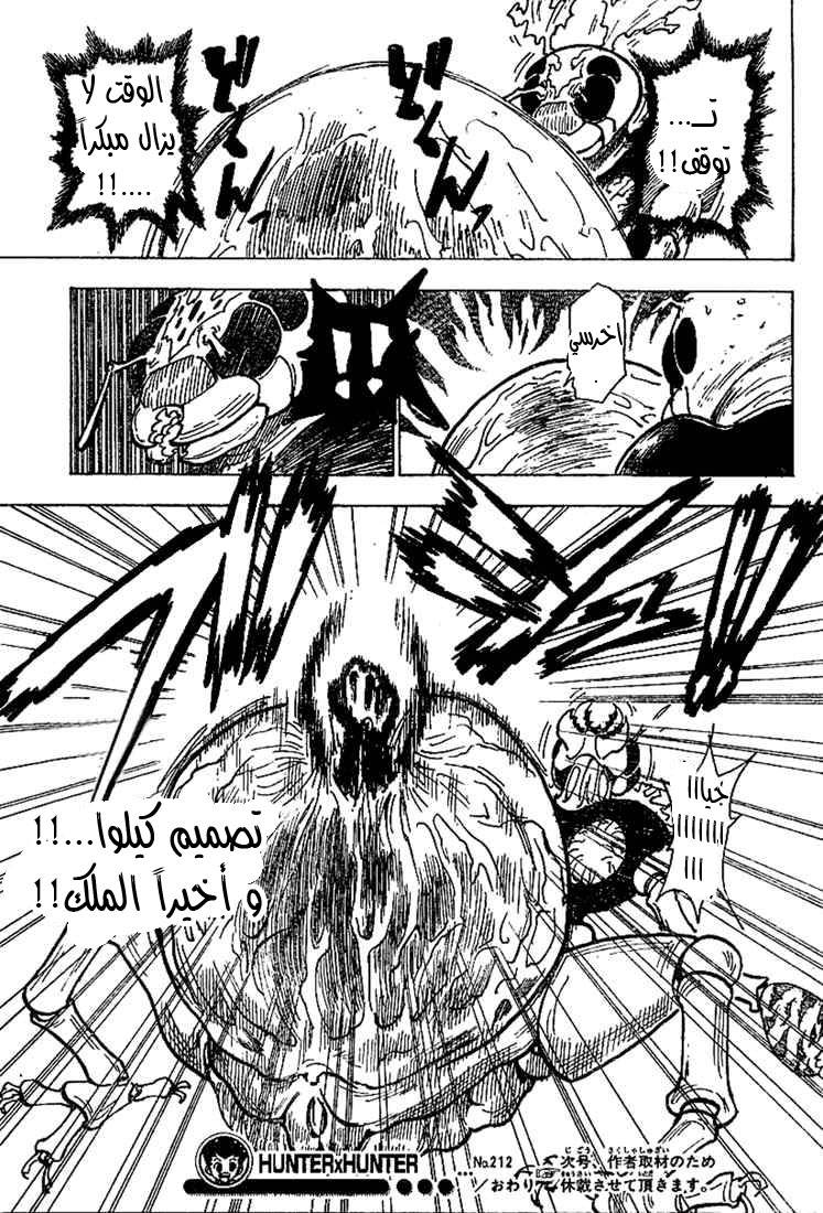 Hunter x Hunter: Chapter 212 - Page 16