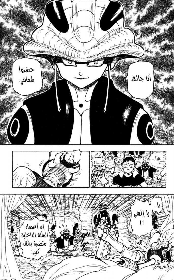 Hunter x Hunter: Chapter 213 - Page 3