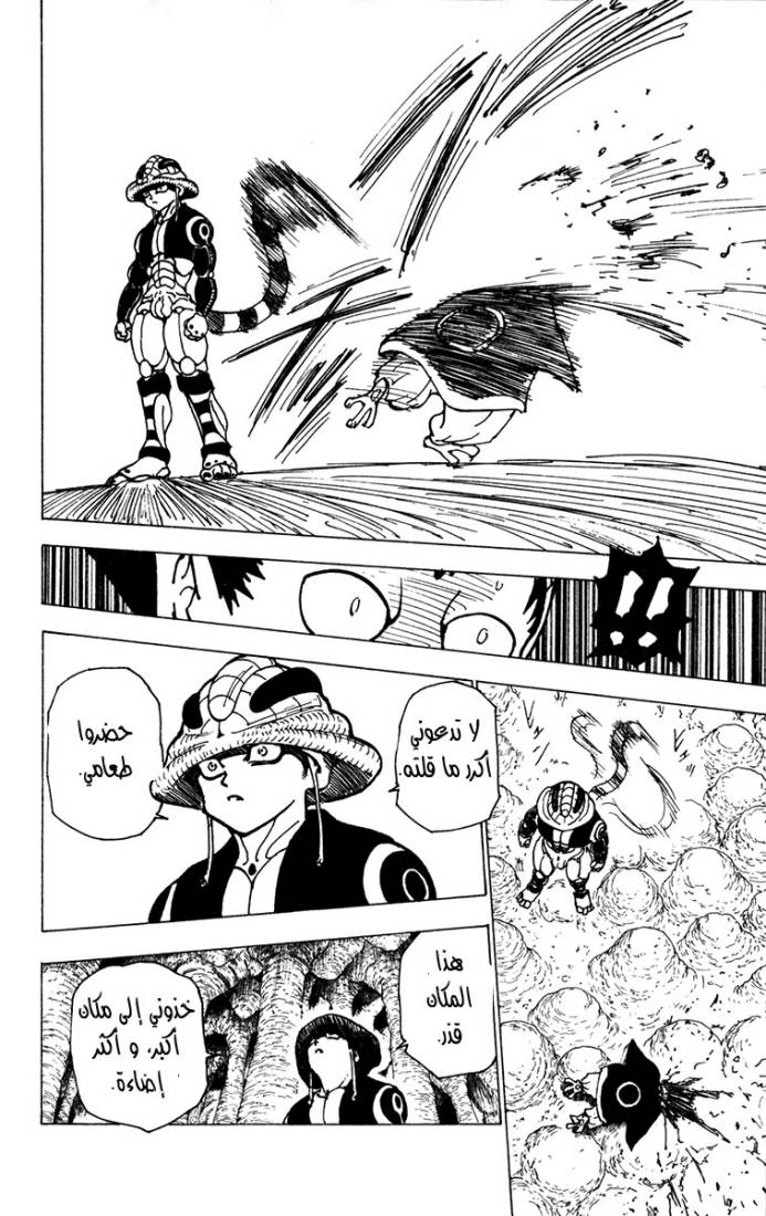 Hunter x Hunter: Chapter 213 - Page 4