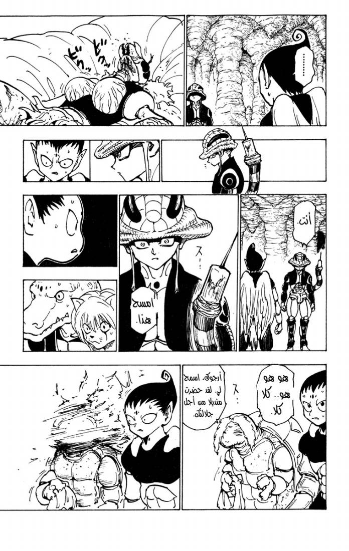 Hunter x Hunter: Chapter 213 - Page 5