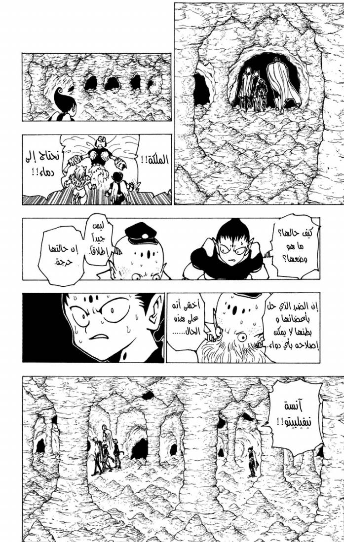 Hunter x Hunter: Chapter 213 - Page 8
