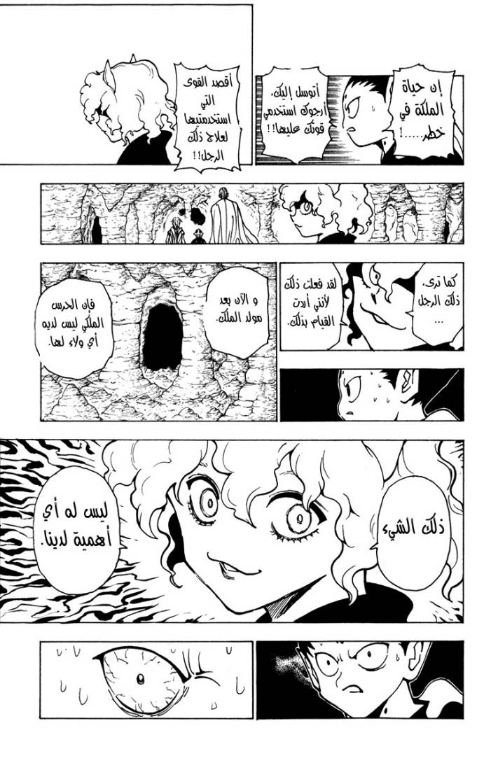 Hunter x Hunter: Chapter 213 - Page 9