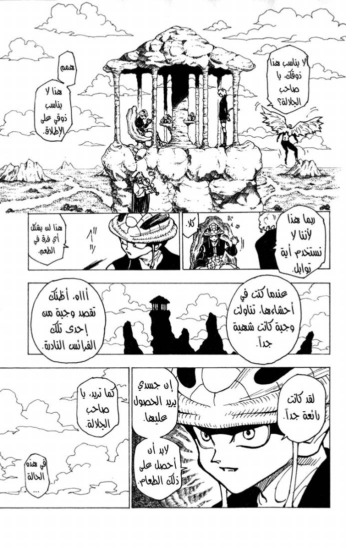 Hunter x Hunter: Chapter 213 - Page 13