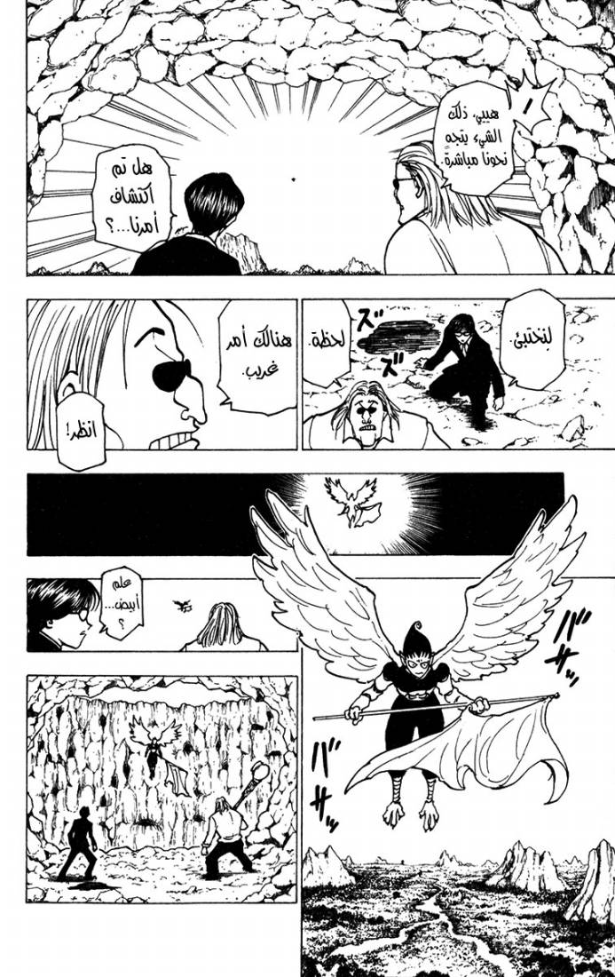 Hunter x Hunter: Chapter 213 - Page 14