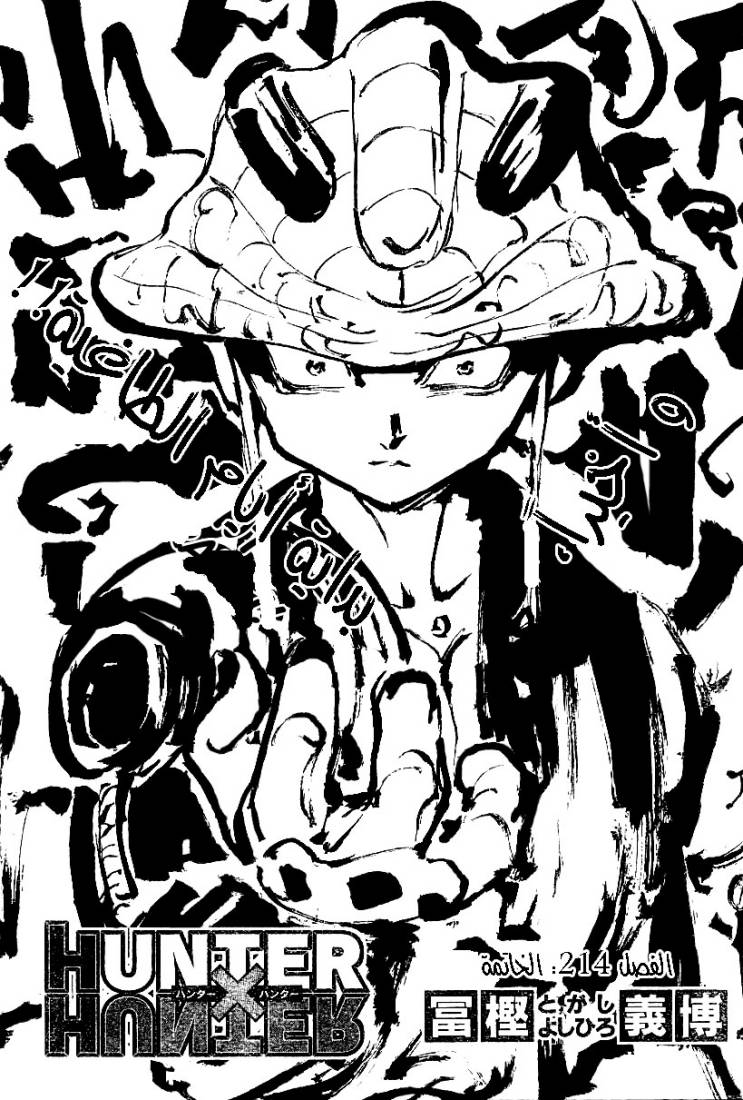 Hunter x Hunter: Chapter 214 - Page 2