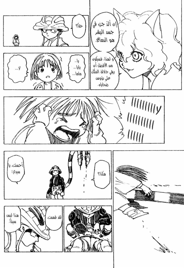 Hunter x Hunter: Chapter 214 - Page 5