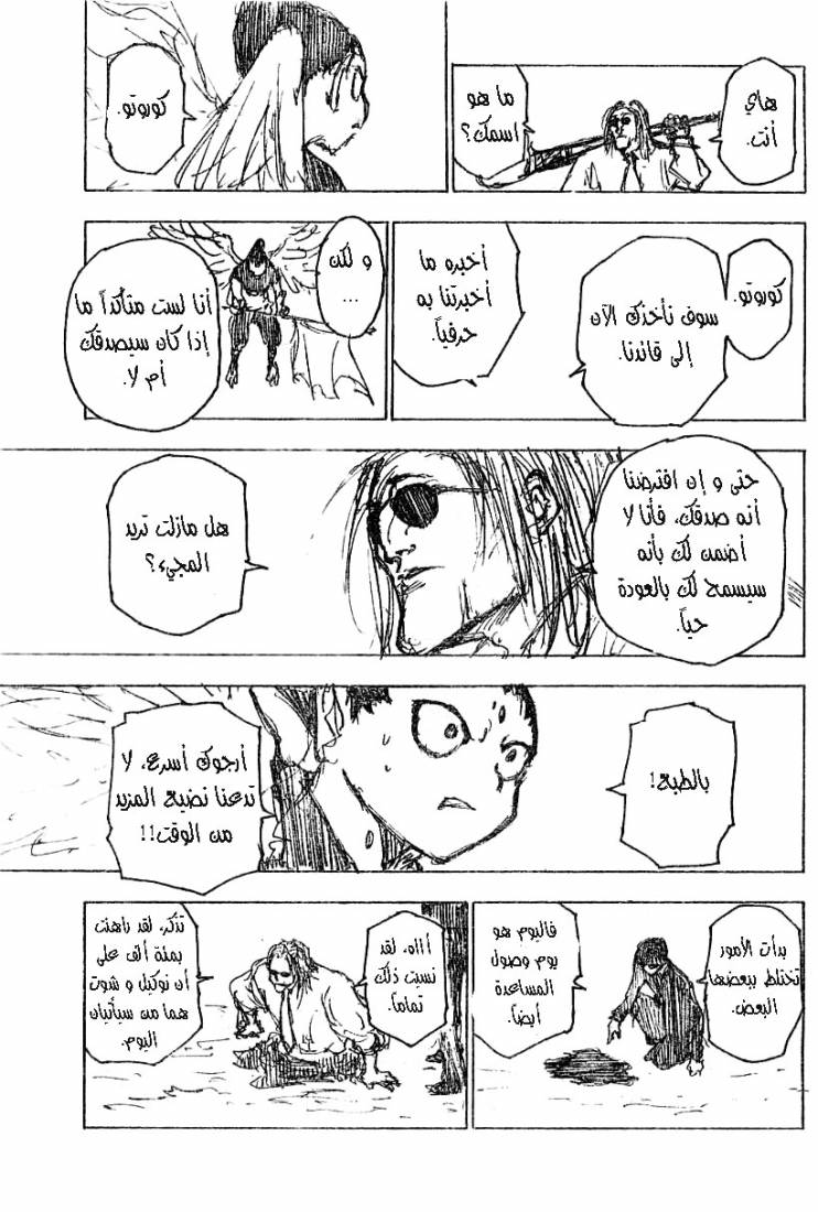 Hunter x Hunter: Chapter 214 - Page 12