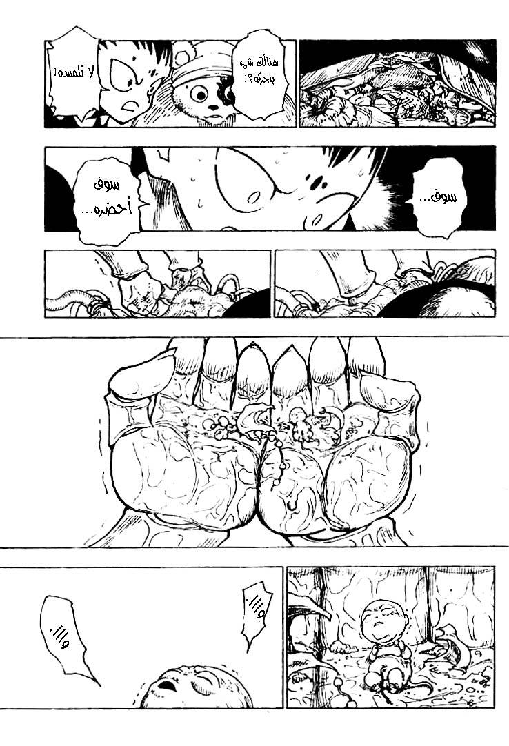 Hunter x Hunter: Chapter 215 - Page 12