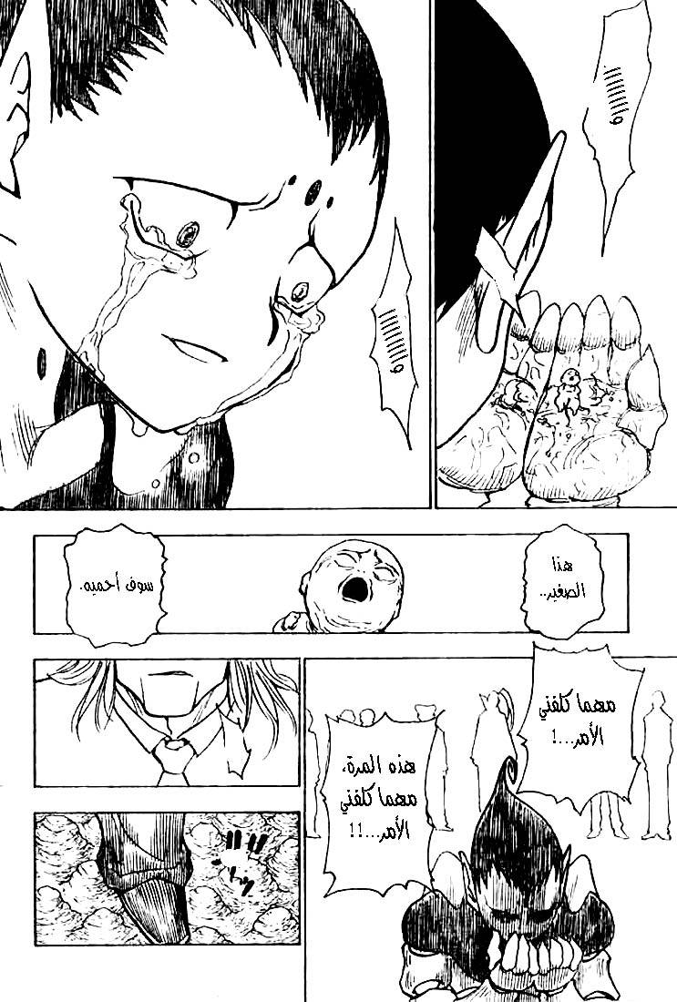 Hunter x Hunter: Chapter 215 - Page 13