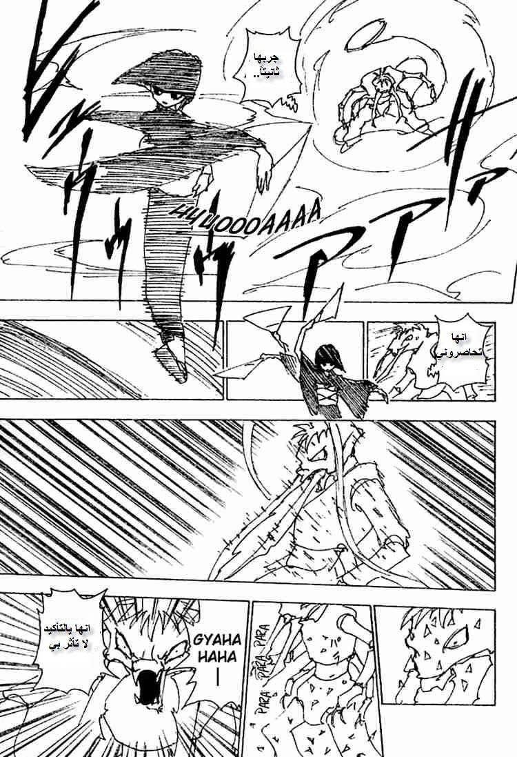 Hunter x Hunter: Chapter 226 - Page 3