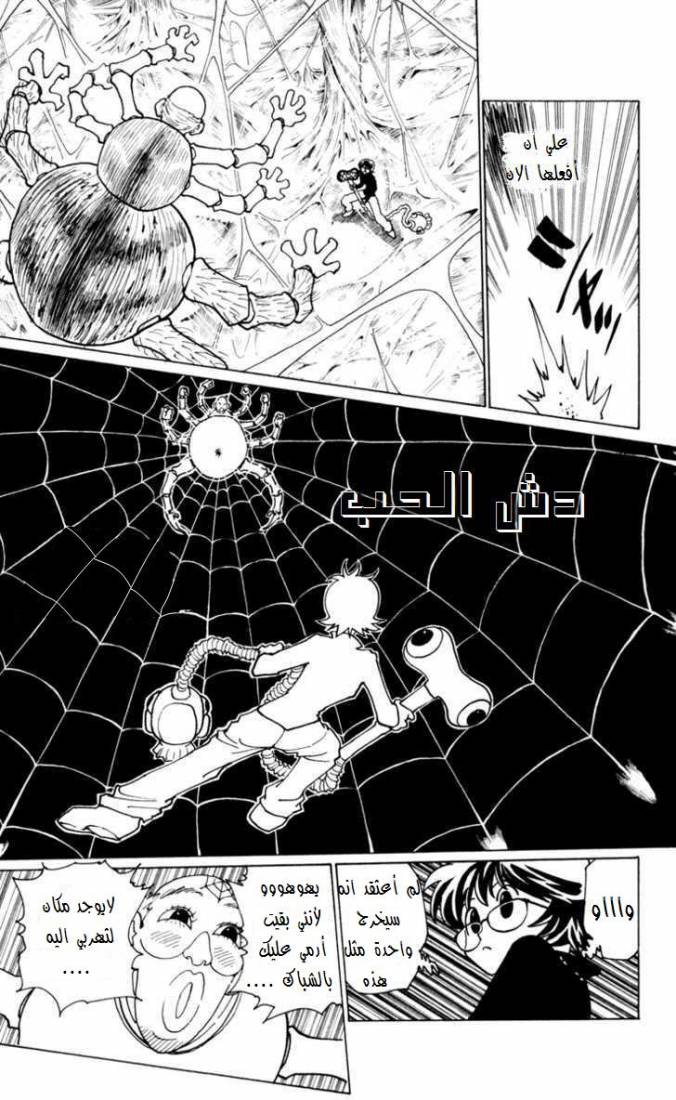 Hunter x Hunter: Chapter 227 - Page 11