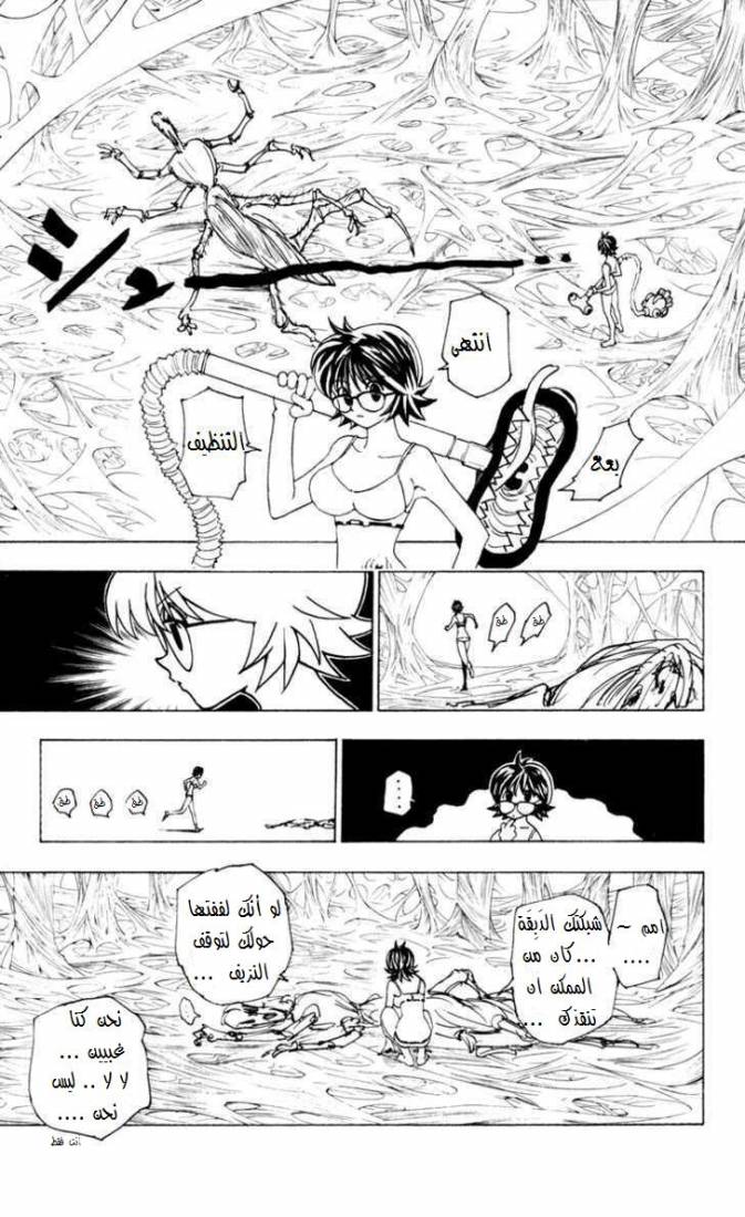 Hunter x Hunter: Chapter 228 - Page 6