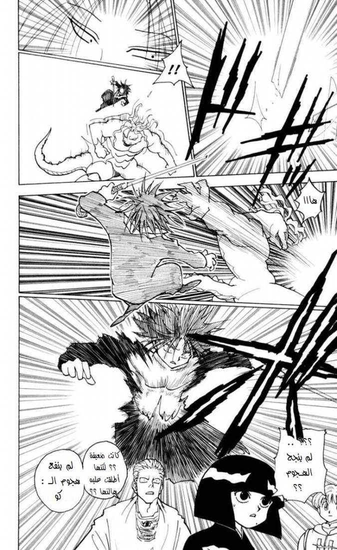 Hunter x Hunter: Chapter 228 - Page 15