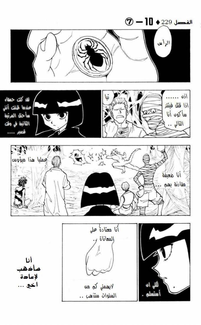 Hunter x Hunter: Chapter 229 - Page 2