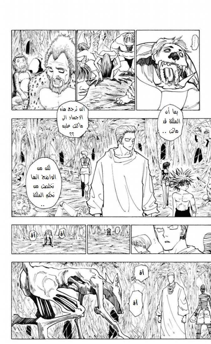 Hunter x Hunter: Chapter 229 - Page 11