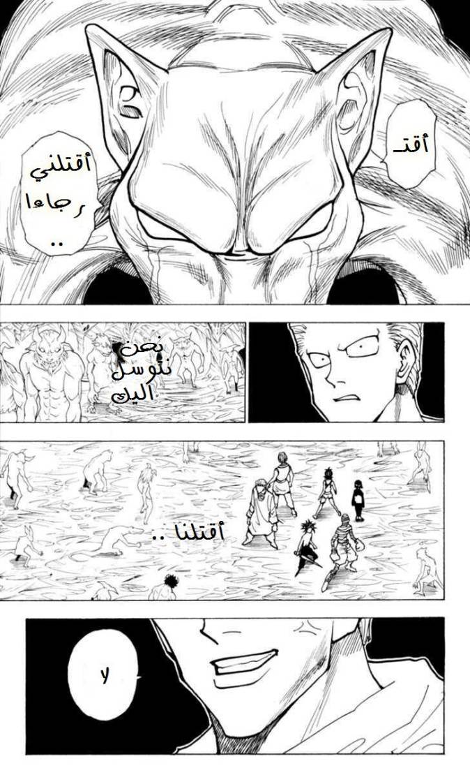 Hunter x Hunter: Chapter 229 - Page 12