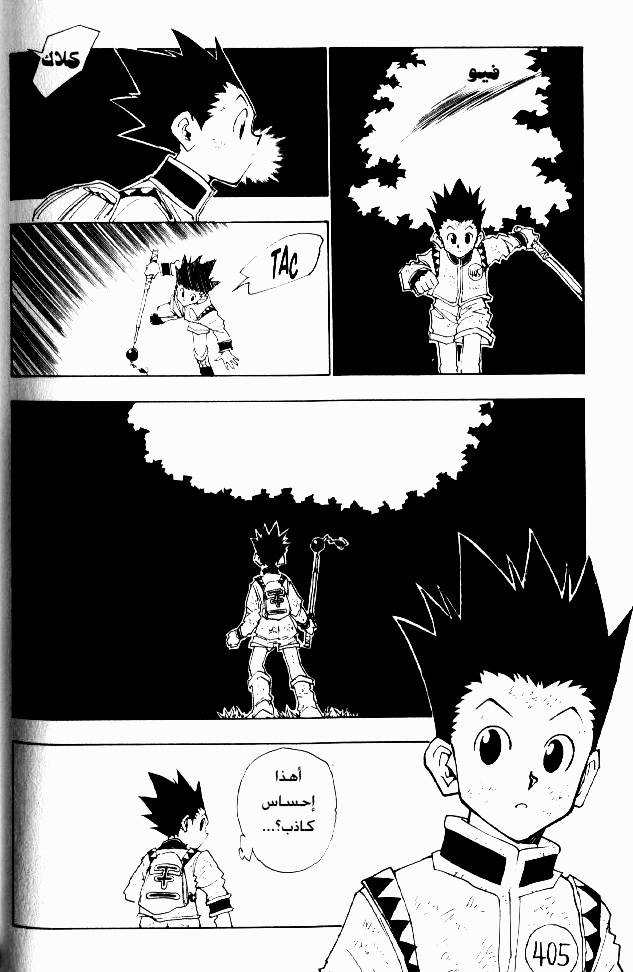 Hunter x Hunter: Chapter 23 - Page 18