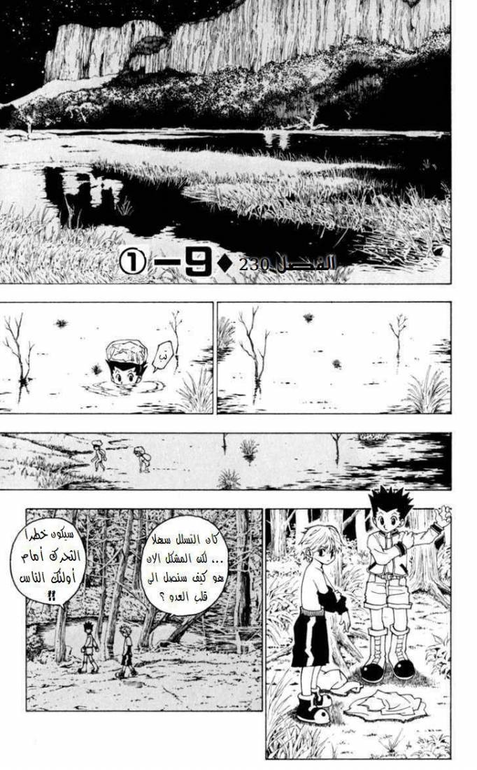Hunter x Hunter: Chapter 230 - Page 2