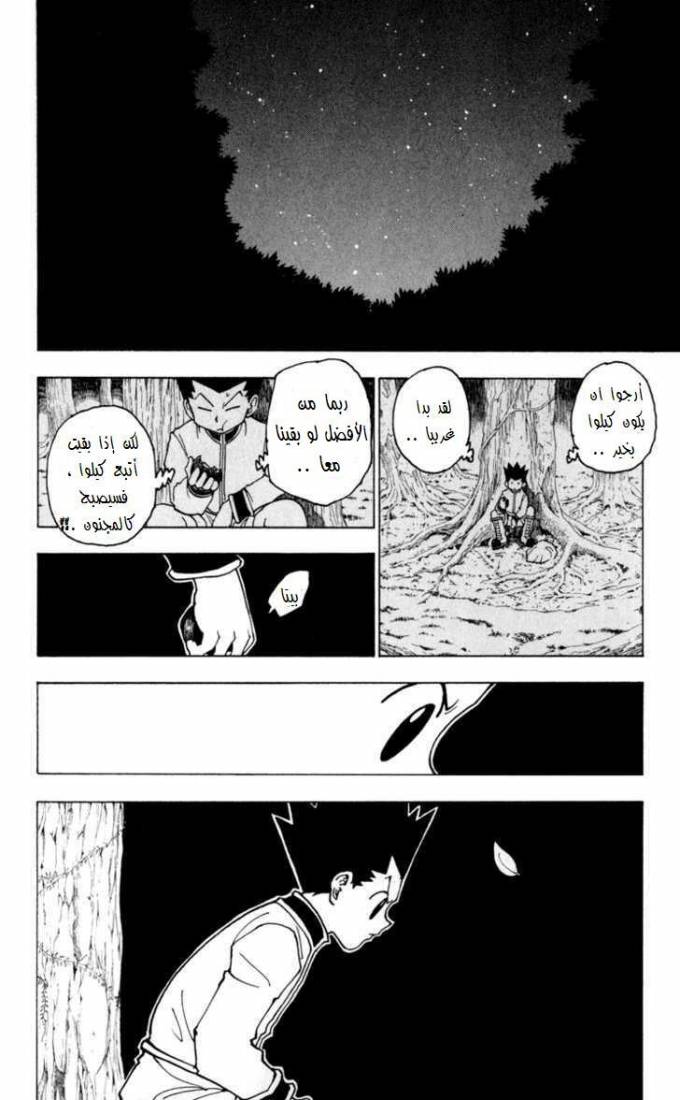 Hunter x Hunter: Chapter 231 - Page 9