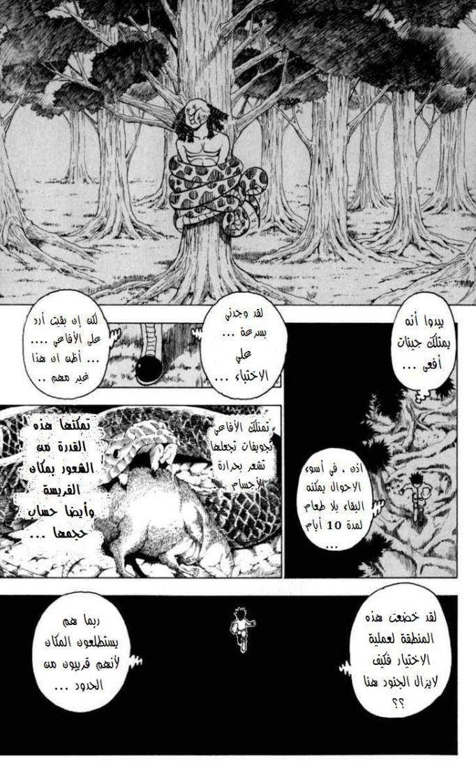Hunter x Hunter: Chapter 231 - Page 14