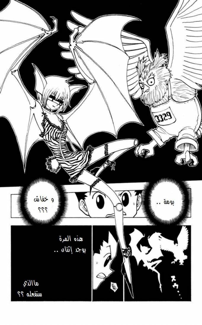 Hunter x Hunter: Chapter 231 - Page 16