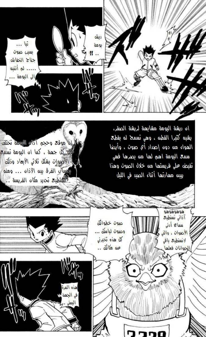 Hunter x Hunter: Chapter 232 - Page 4