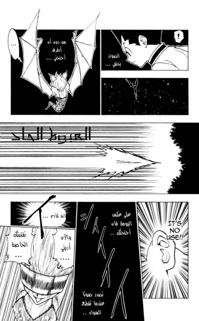 Hunter x Hunter: Chapter 232 - Page 10