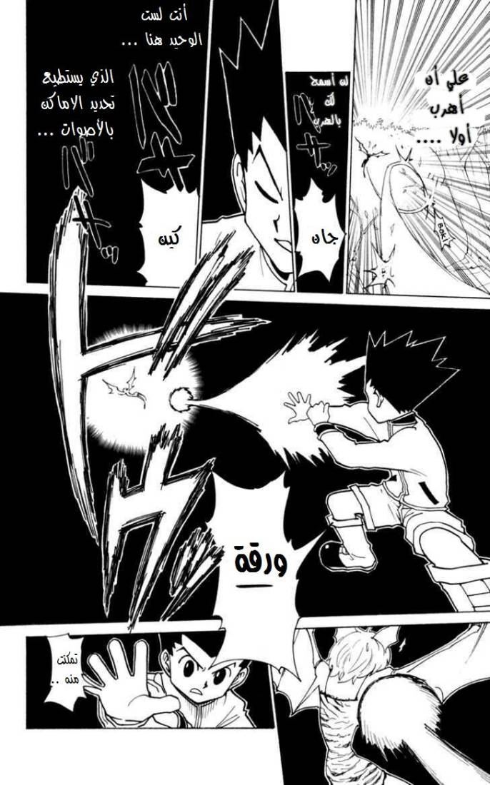 Hunter x Hunter: Chapter 232 - Page 13