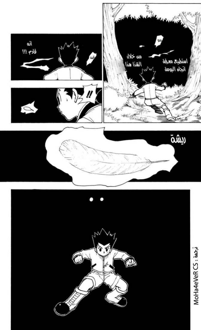 Hunter x Hunter: Chapter 233 - Page 5
