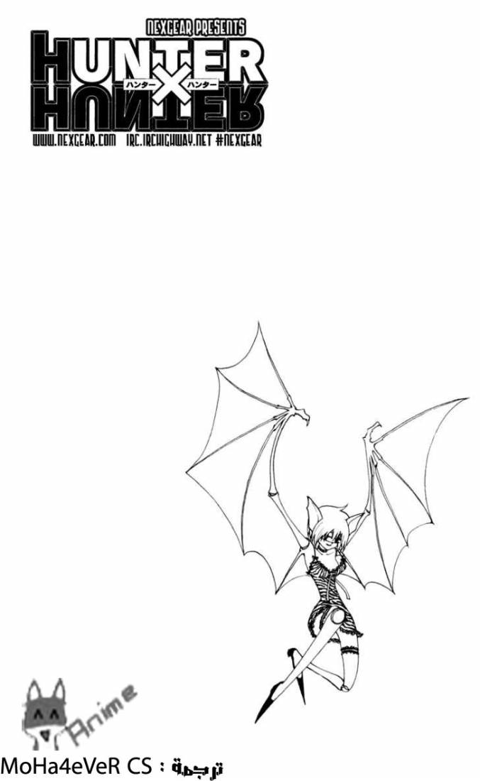 Hunter x Hunter: Chapter 233 - Page 17