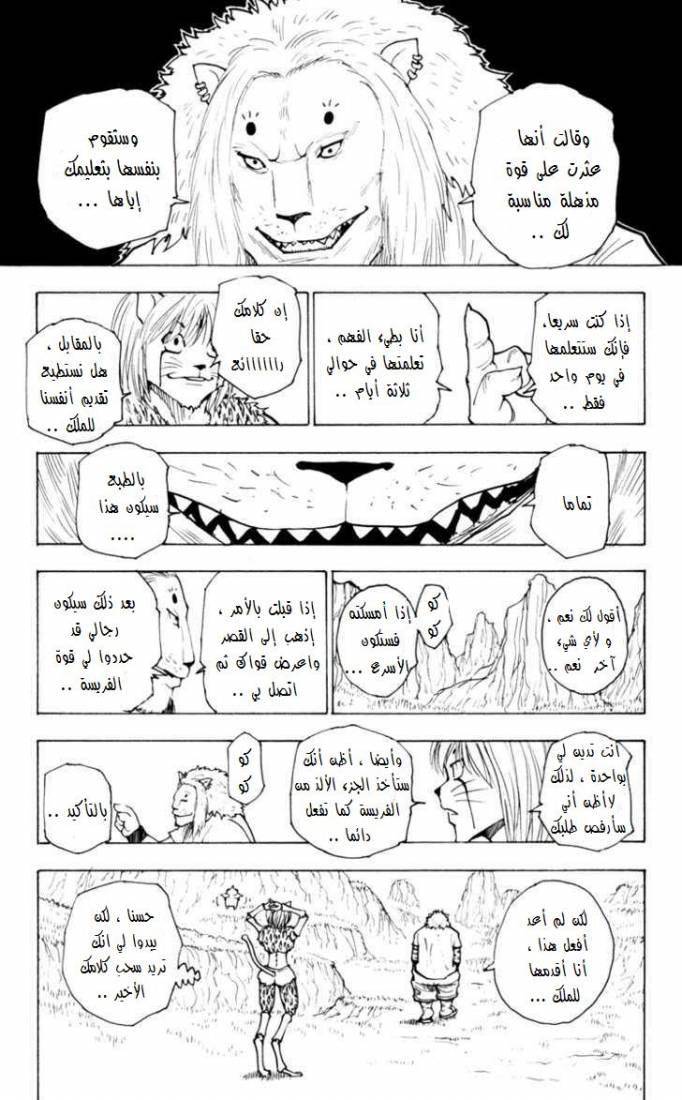 Hunter x Hunter: Chapter 235 - Page 14