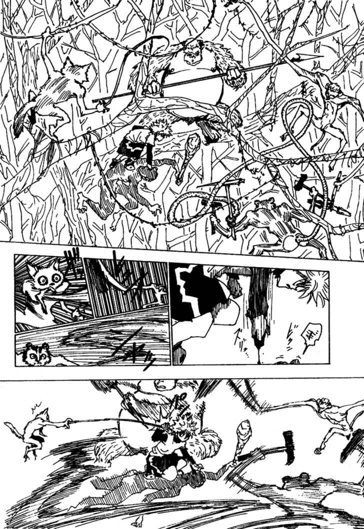 Hunter x Hunter: Chapter 236 - Page 5