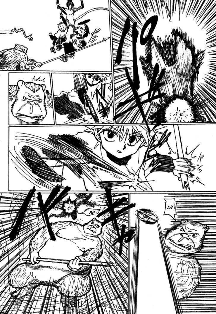 Hunter x Hunter: Chapter 236 - Page 7