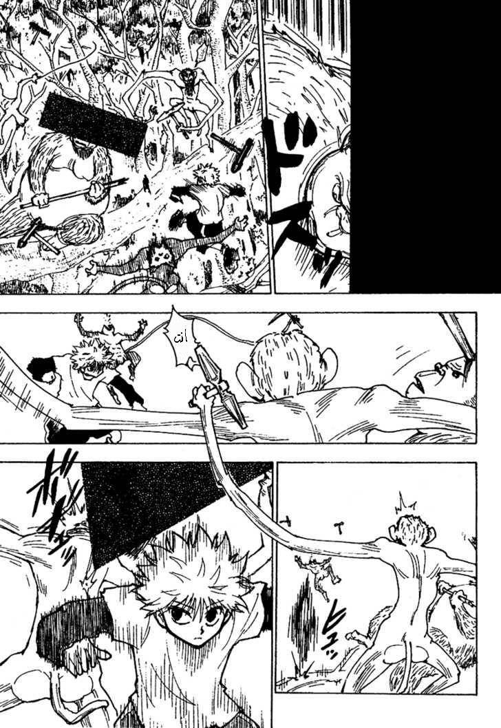 Hunter x Hunter: Chapter 236 - Page 8