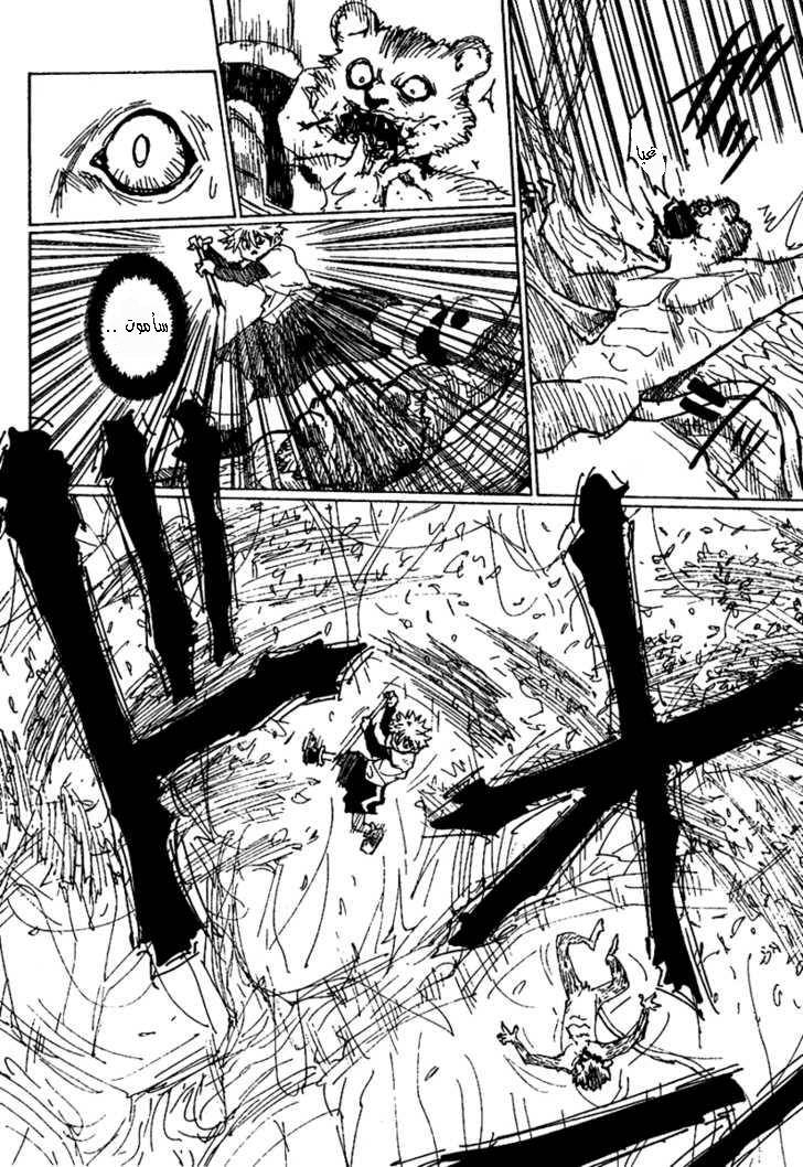 Hunter x Hunter: Chapter 236 - Page 9