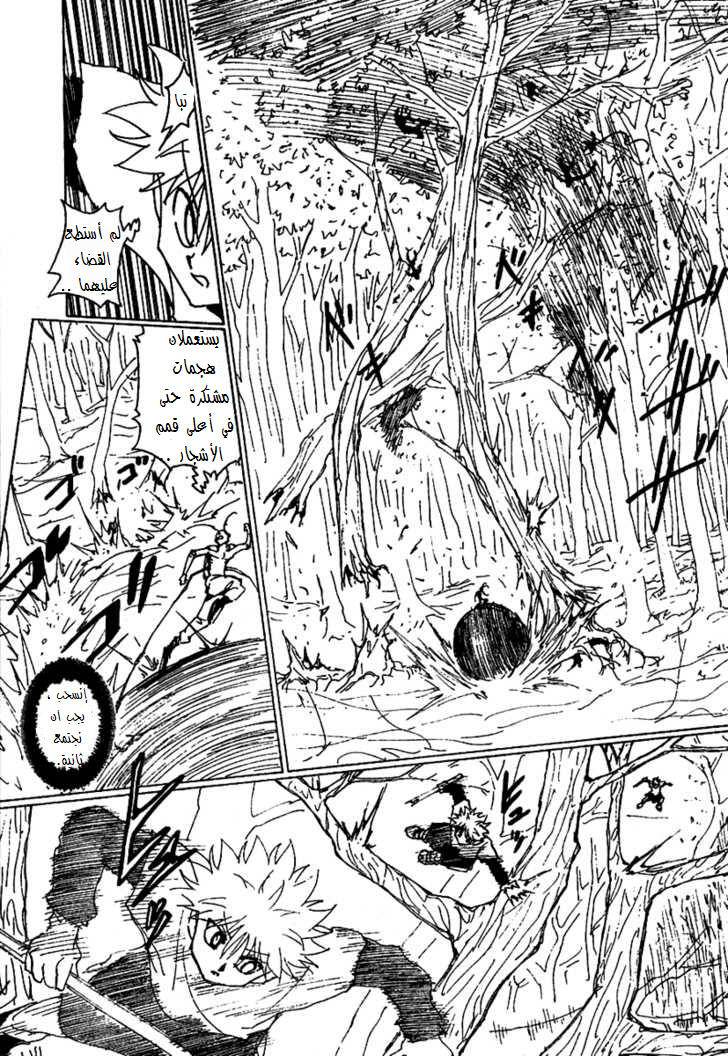 Hunter x Hunter: Chapter 236 - Page 10