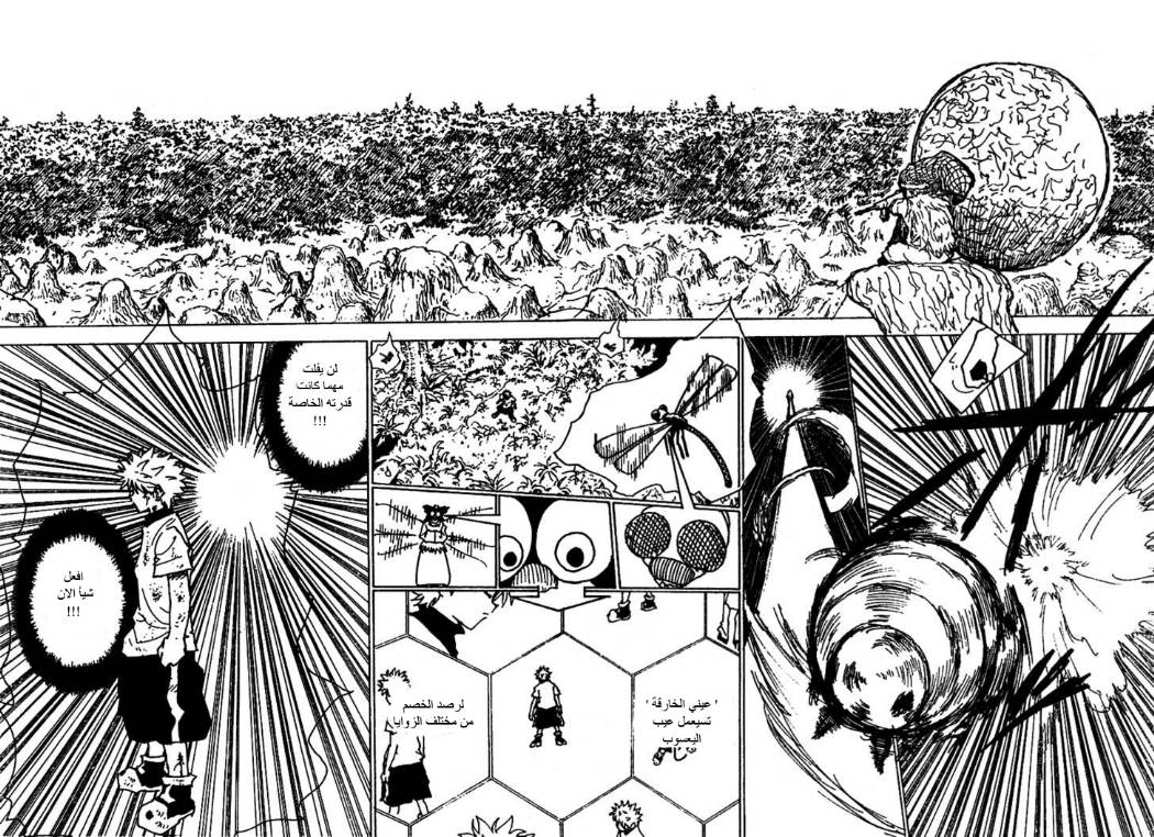 Hunter x Hunter: Chapter 237 - Page 6