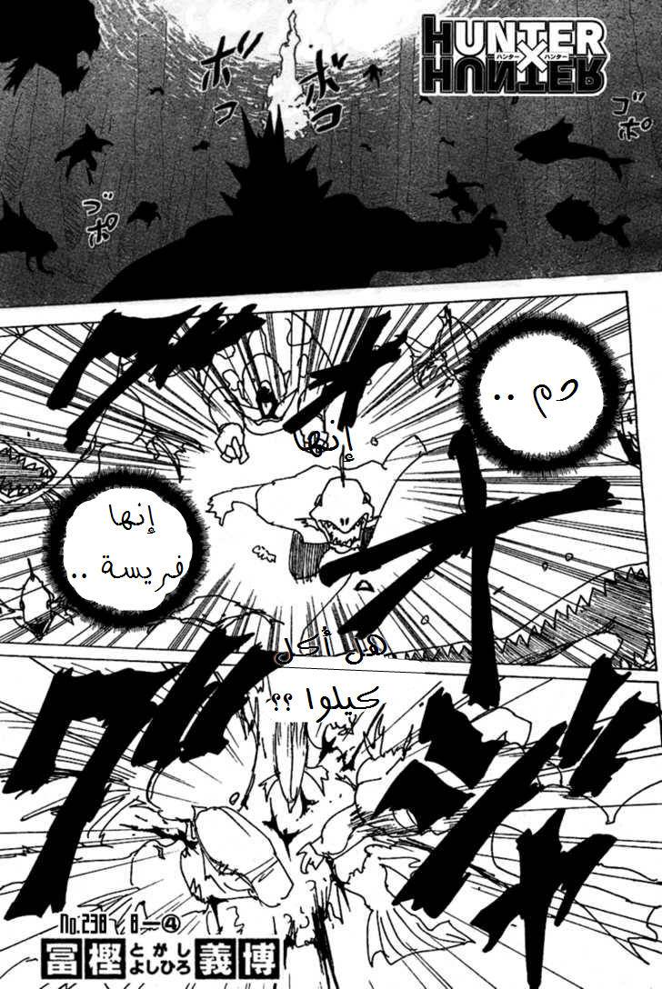 Hunter x Hunter: Chapter 238 - Page 2