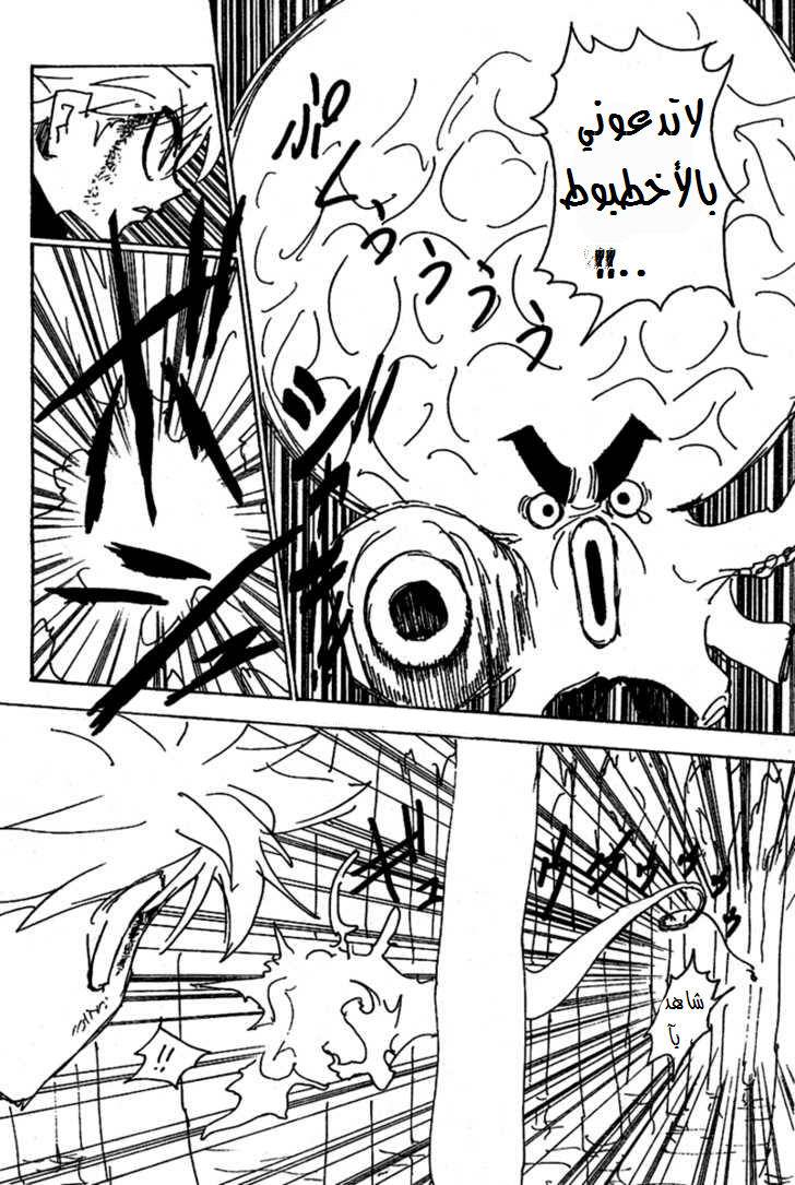 Hunter x Hunter: Chapter 238 - Page 5