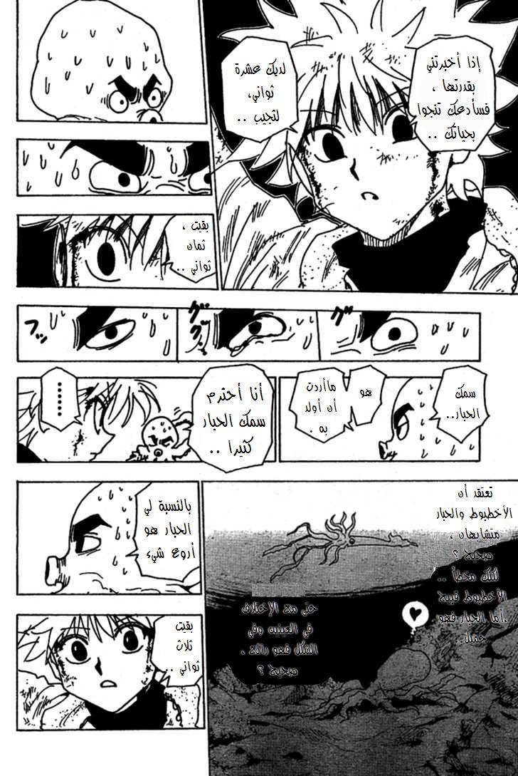 Hunter x Hunter: Chapter 238 - Page 9