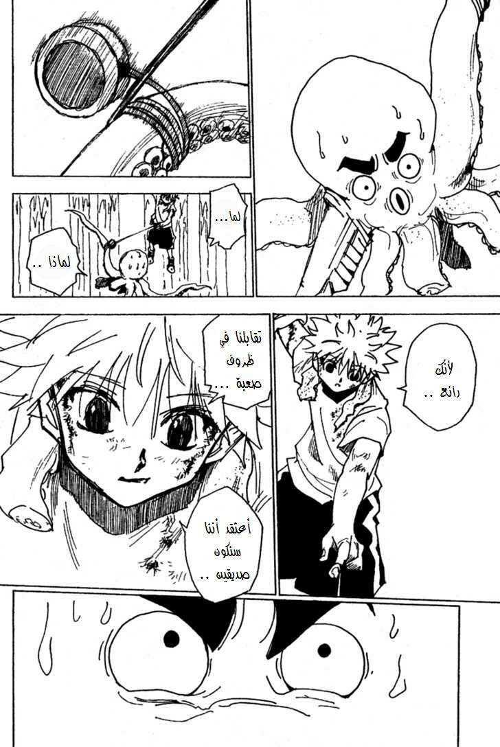 Hunter x Hunter: Chapter 238 - Page 11