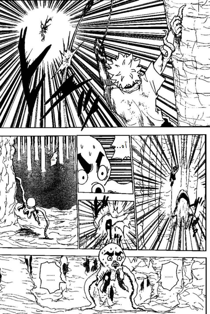 Hunter x Hunter: Chapter 238 - Page 12